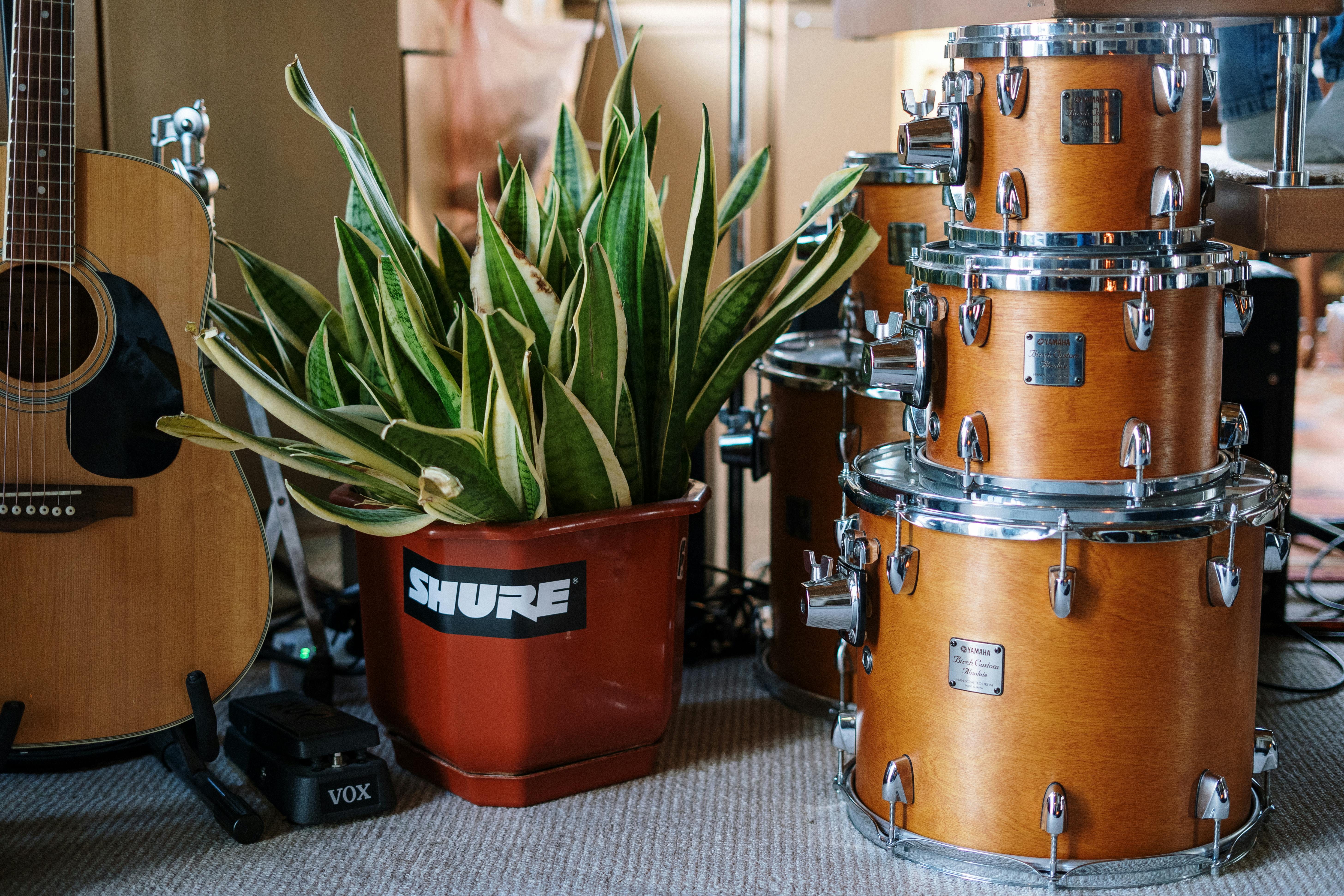 Alquiler de Instrumentos